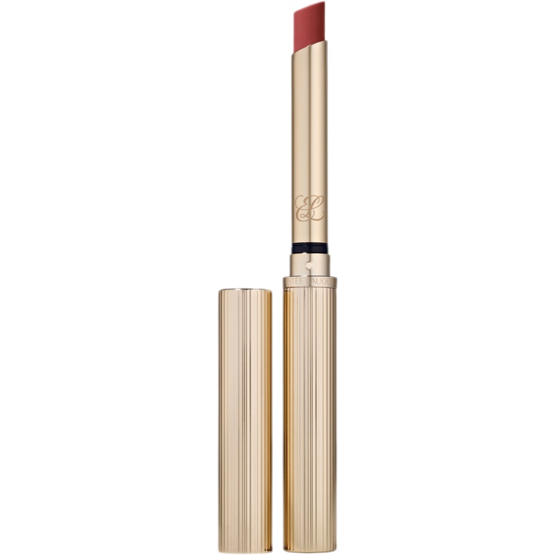 Estee Lauder Pure Color Explicit Silk Matte Lipstick